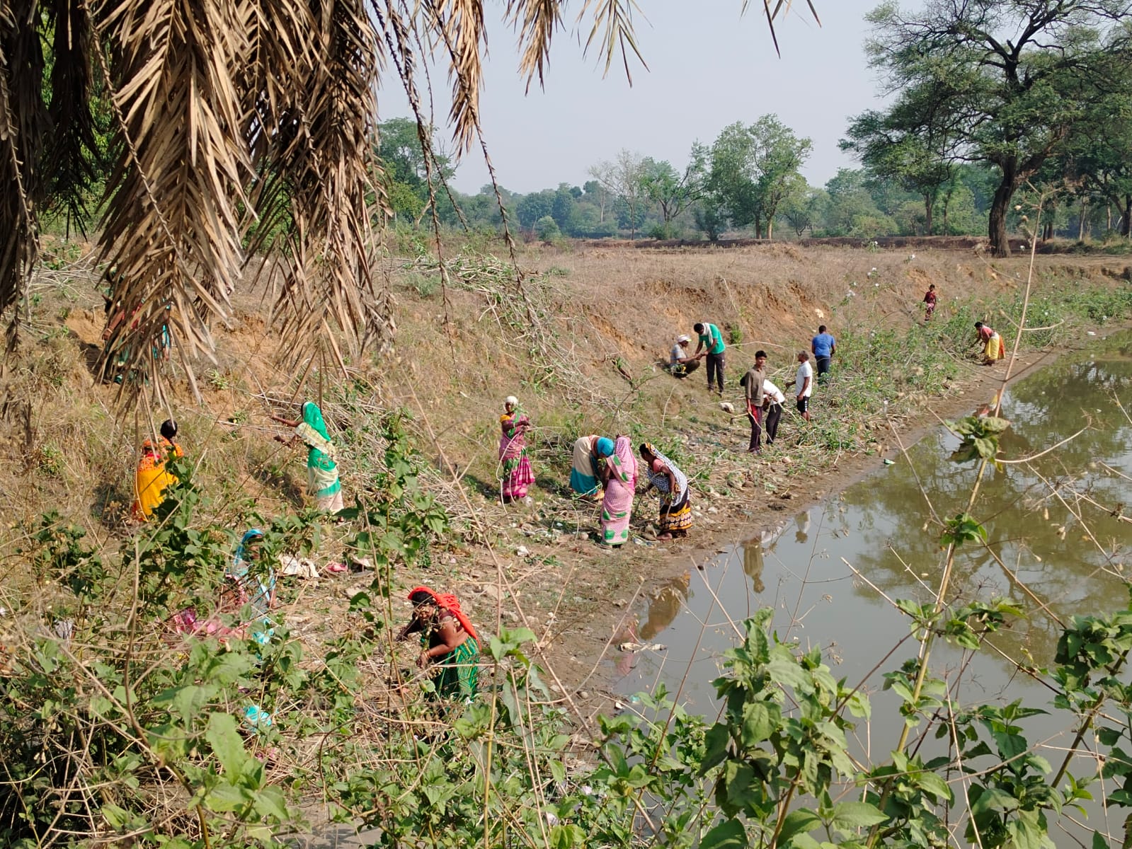 On the instructions of Collector Rohit Vyas, the common people cleaned the temples and ponds of Baghbahar and Pathalgaon by doing voluntary work