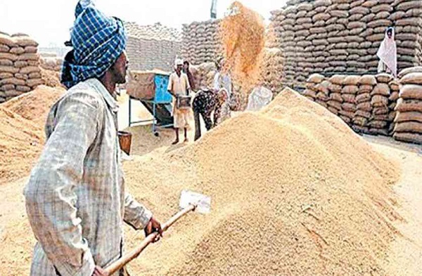 Paddy procurement to begin in Chhattisgarh today; Food Minister Dayaldas Baghel to inaugurate; 2,739 centres set up in the state