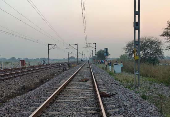 Woman and 16 goats killed after being hit by a train