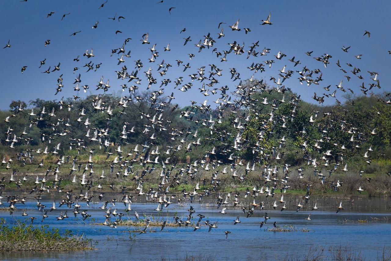 Kopra reservoir becomes Chhattisgarh's first Ramsar site