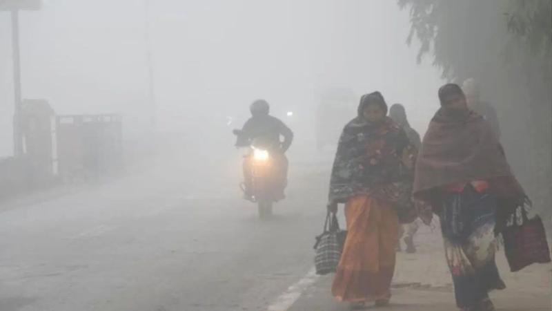 Ambikapur in Chhattisgarh turns 'icy'... Shimla-like conditions with 4.8&deg;C; Meteorological Department issues red alert for these districts