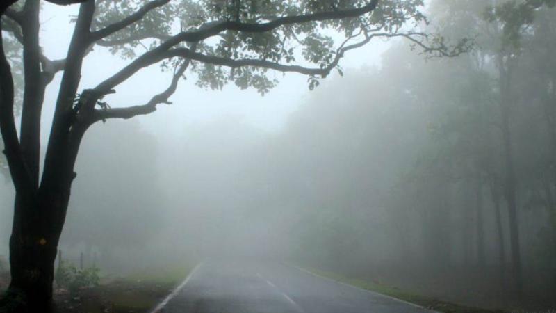 Heavy rain warning in Chhattisgarh amid severe cold; next 48 hours will be heavy for these districts