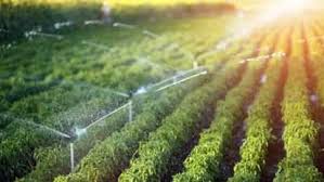 7.15 crore approved for Kenda Diversion and Salka Navagaon Lift Irrigation Scheme