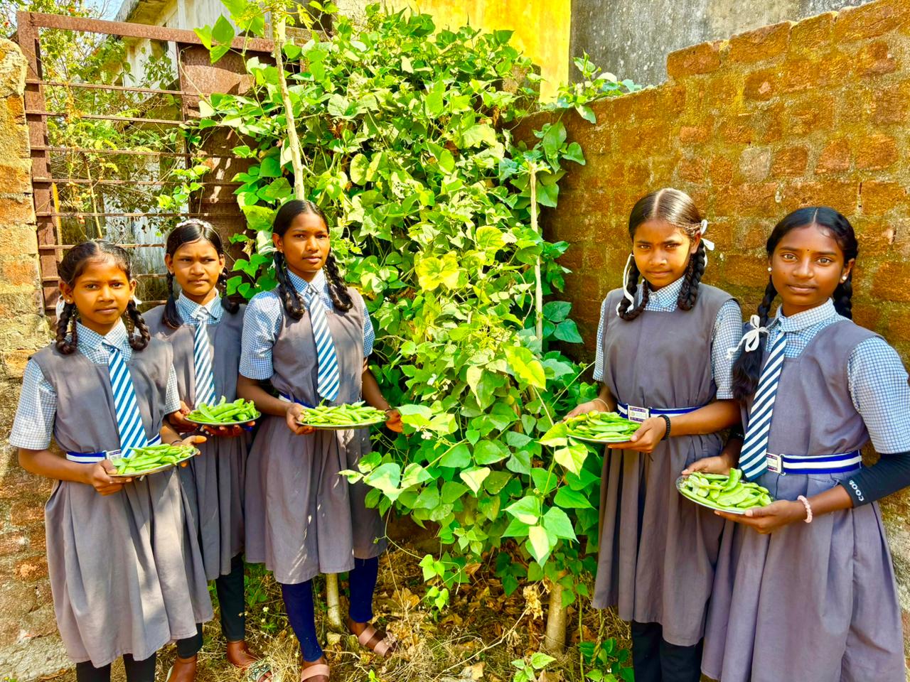 Children are getting nutritious food from the school garden