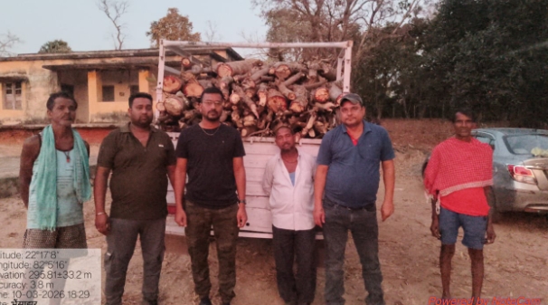 Accused arrested with two pieces of Palash species of firewood
