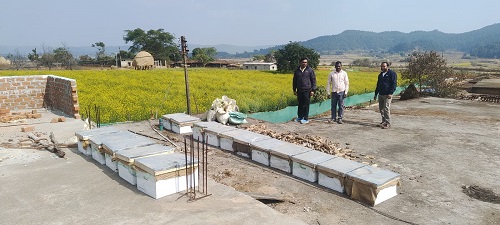 Beekeeping for farmers: Low cost, high profits