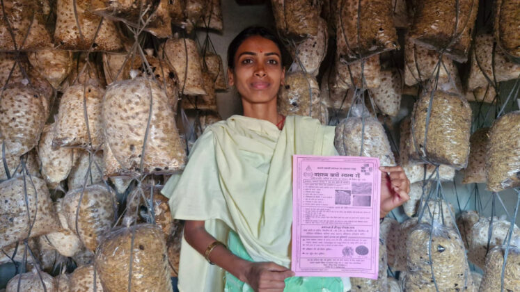 An example of the journey from struggle to prosperity