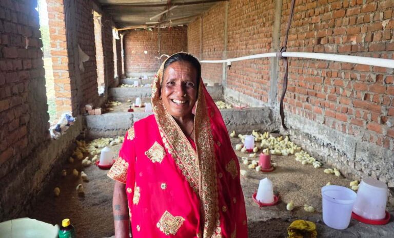 Mati Bai left her job as a 'lakhpati didi', raising poultry to improve her family's future
