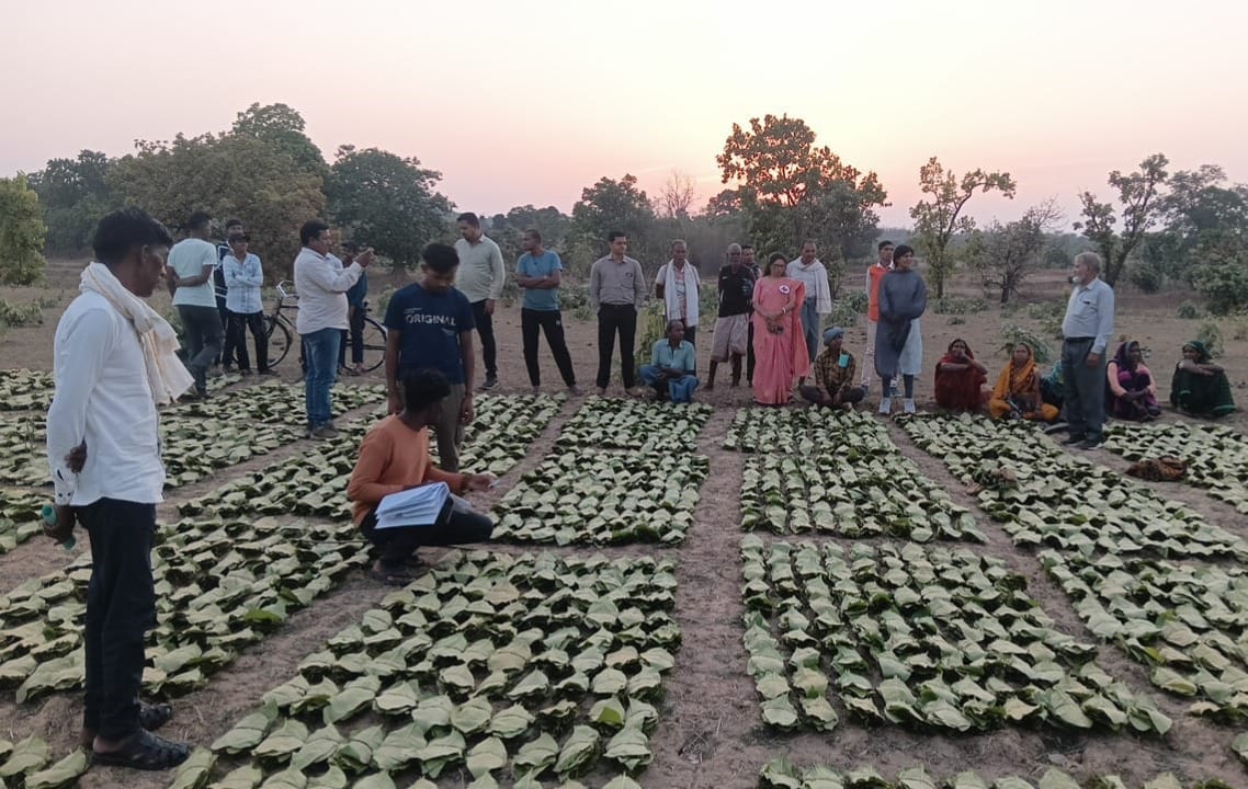Chhattisgarh Transfers ₹1.39 Crore Bonus to Over 10,000 Tendu Leaf Collectors Through Direct Benefit Transfer :&nbsp;Digital payout strengthens livelihoods of tribal families and reinforces transparent governance under the Sai government