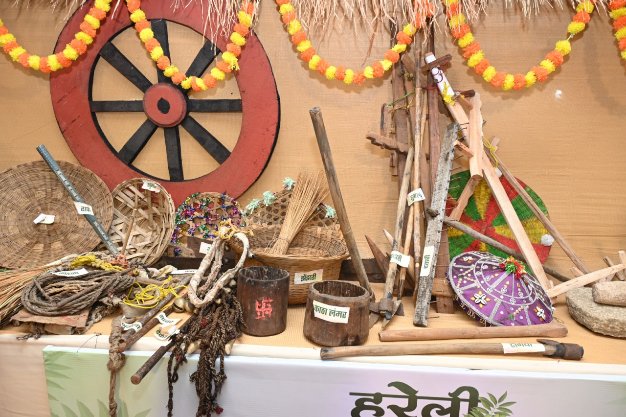 Special Article: Folk Festival of Chhattisgarh: Hareli Tihar
