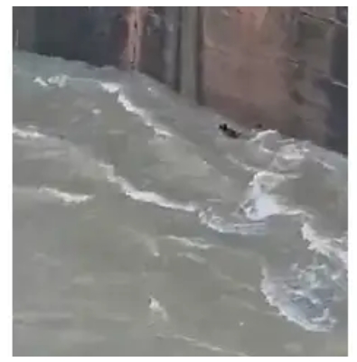 CHHATTISGARH: Young man jumps into dam after bet with friends