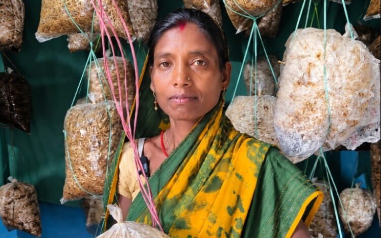 Mushroom and Mahua business changed Babli's life