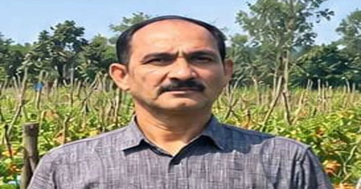 Shahid's hard work paid off with improved tomato farming, earning Rs 1.20 lakh from 2 acres