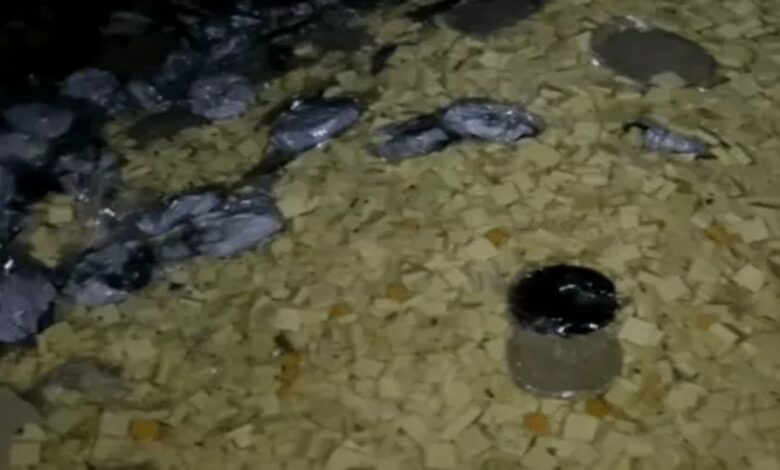 2500 kg of sweets destroyed for making paneer from expired milk