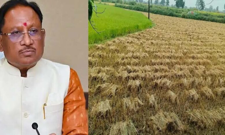 CM Sai issues directive: Survey of crop damage due to Cyclone Arnab; compensation to be provided soon