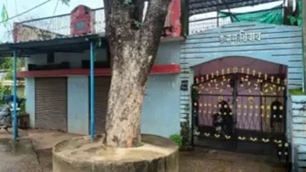 Following a court order in Bilaspur, property worth Rs 1.50 crore belonging to three ganja smugglers was frozen.