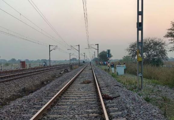 Woman and 16 goats killed after being hit by a train