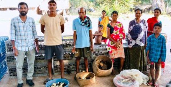 Niyada Nellanar Scheme: Free distribution of poultry and quail, will increase the income of the villagers