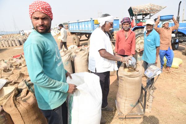 CG Dhan Kharidi: 14,54,451 quintals of paddy has been procured in the state, Token Tunhar app is making it easier for farmers 