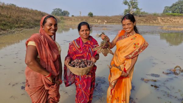 Fish farming and water chestnut cultivation boosted the income of women self-help groups.