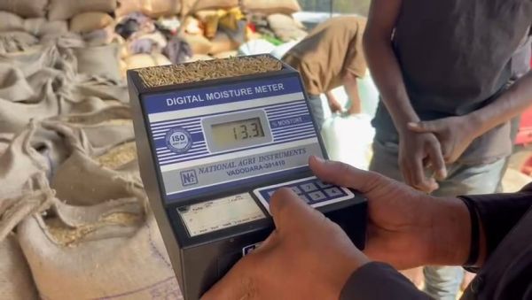 1,67,246 quintals of paddy purchased from 2,628 farmers in Jashpur