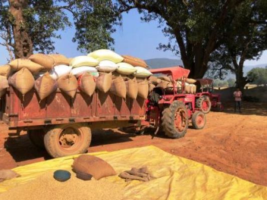 25384.12 metric tonnes of paddy purchased from 3924 farmers in the district