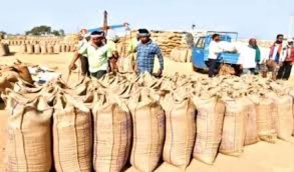 A new record in paddy procurement, Rs 23,448 crore reached the accounts of 17.77 lakh farmers till January 13.