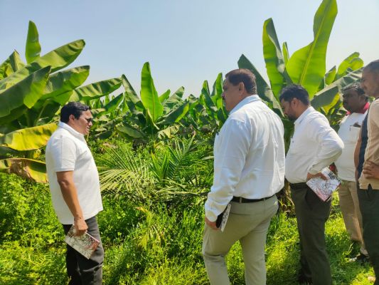 Chhattisgarh moves towards self-sufficiency in edible oil; oil palm is cultivated in 10,796 hectares of area in the state.