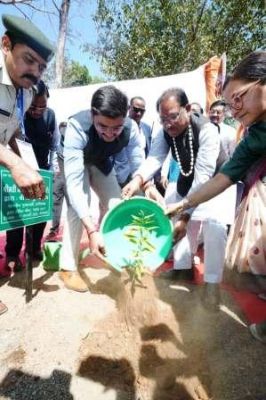 Chief Minister Sai planted a white sandalwood sapling.
