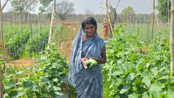 Dhaneshwari cultivates cucumbers on a one-acre farm, providing employment to herself and others.