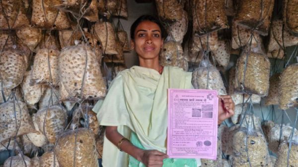 An example of the journey from struggle to prosperity