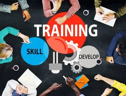 Livelihood College Jora is providing free skill training in various courses.