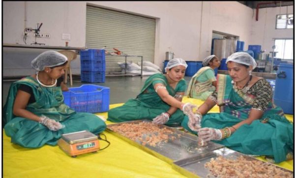 Chhattisgarh's 'Green Gold' strengthens rural economy: Demand for herbal products rises in India and abroad