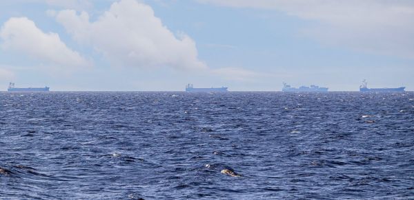 Heartbreaking accident: Two brothers/sisters drown in a pond, family in turmoil