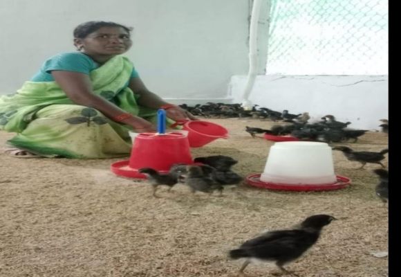 From struggle to respect: Bihan and advanced poultry farming changed the fate of Narayanpur's Sunita