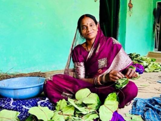 So far, Rs 22.05 crore has reached the accounts of more than 32 thousand tendu leaf collectors of Kabirdham district.