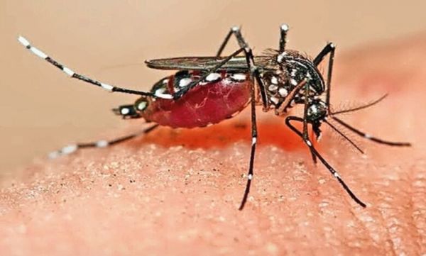 Malaria outbreak continues in Chhattisgarh, woman's death raises concerns