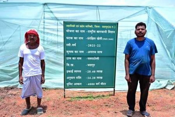 Jashpur farmer Anarath Sai adopted modern farming, National Horticulture Mission transformed his financial situation