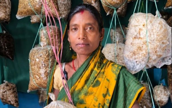Mushroom and Mahua business changed Babli's life