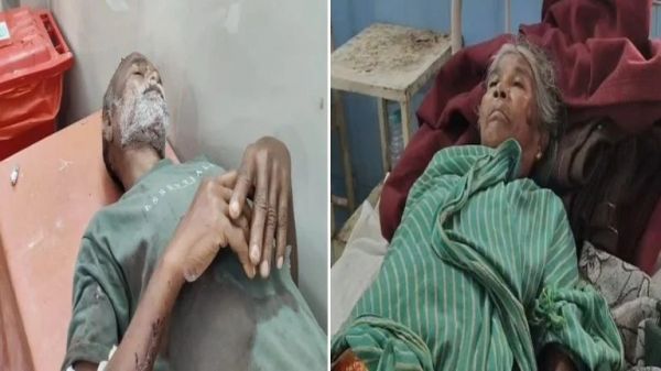 Leopard terrorizes home, leaves 3 people bleeding