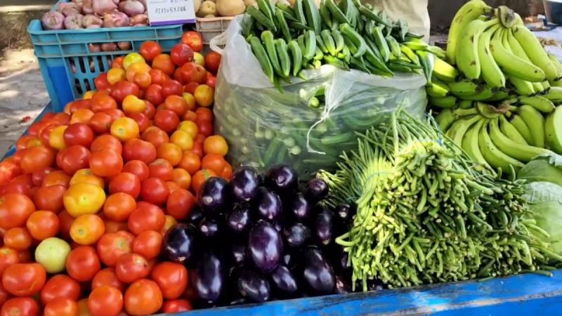 Why are tomatoes still showing signs of being in season? The main reason behind the price hike has been revealed.