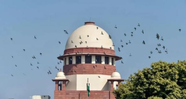 Responsibility for removing stray animals fixed, Supreme Court gives these instructions
